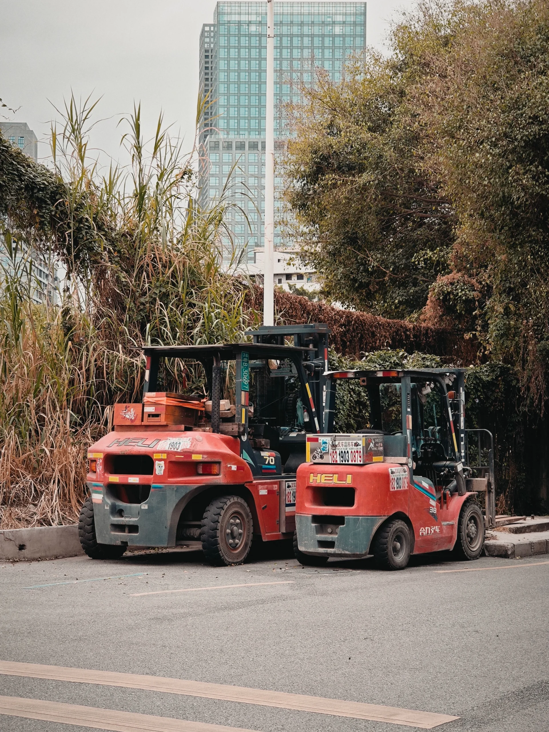 Forklift Miramar in El Cajon